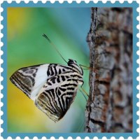 The Secret To Creativity