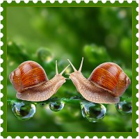 Love is Space Love is Space