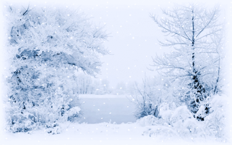 Snow Falling on ideafill.me | art, digital, harmony, inspiration, nature, quotes, dreams, falling, filled, heart, january, night, snow, sweet, winter